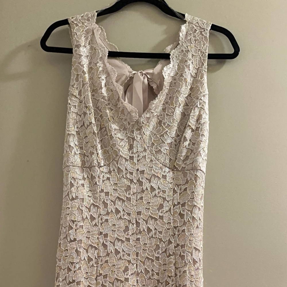Elegant Lace Dress with Sequin detail